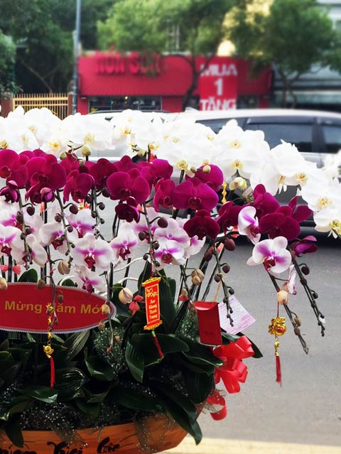 Thuyền hoa 5 – TH105 - Ảnh 2