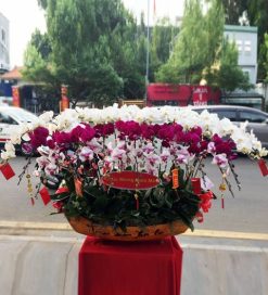 Thuyền hoa 5 – TH105