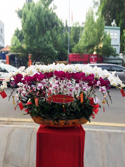 Thuyền hoa 5 – TH105