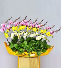 Thuyền hoa 6 – TH106