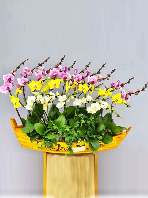 Thuyền hoa 6 – TH106