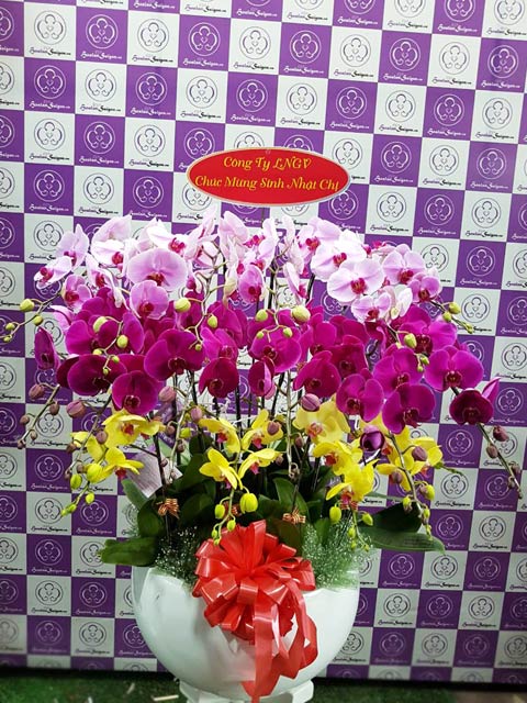 Cầu vồng – TT223