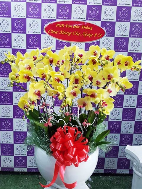 Xuân về – TT219