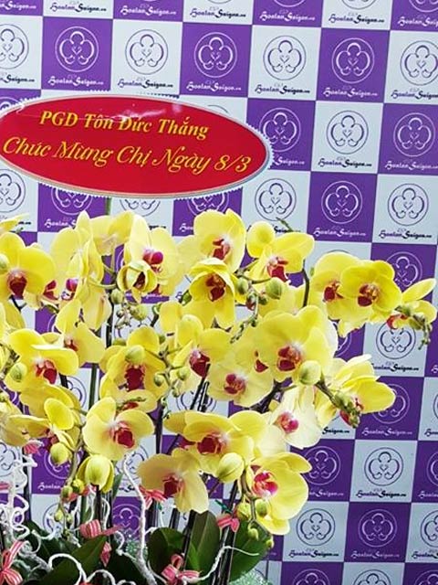 Xuân về – TT219 - Ảnh 2