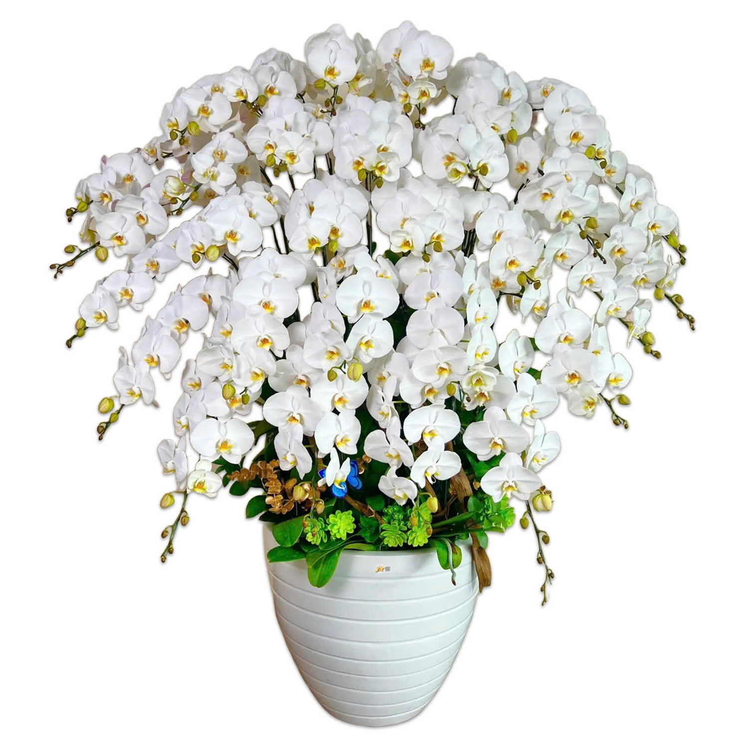 Z7213774090163 6db9a6c73257f53af53c6d7096b969b0